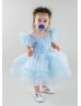 Sky Blue Ruffle Tulle Sleeves Sparkly Flower Girl Dress